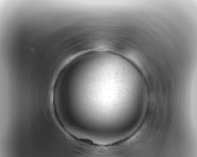 X0000089451424200706221239