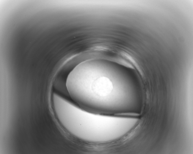 X0000089451426200706221239