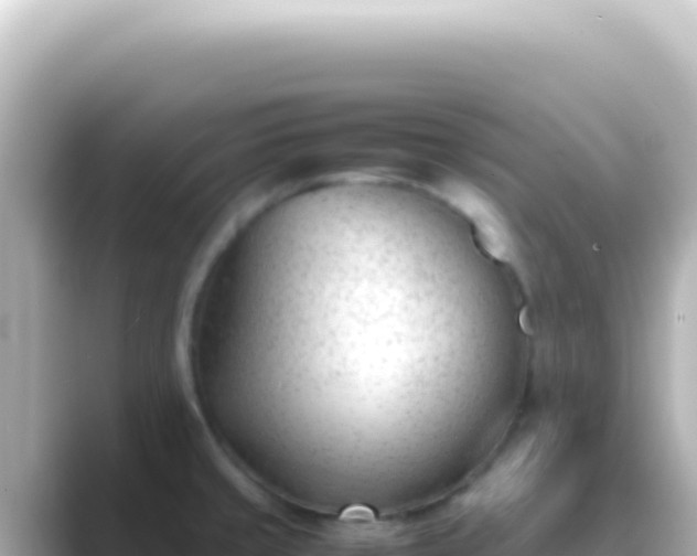 X0000089451429200706221239