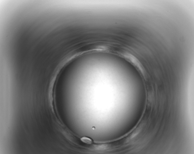 X0000089451435200706221239