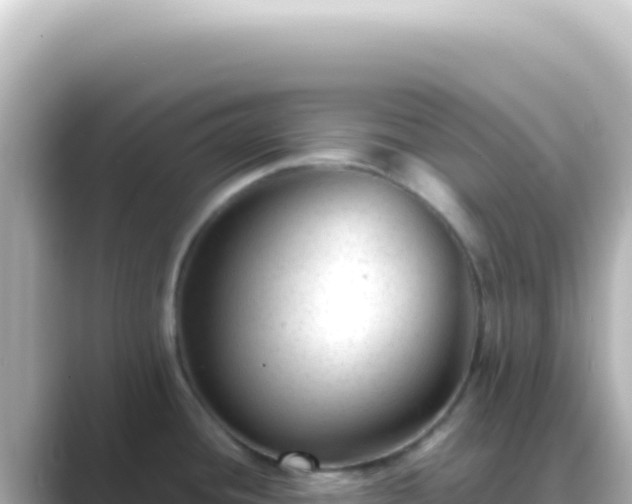 X0000089451436200706221239