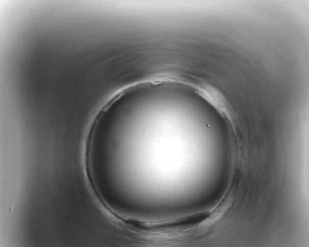 X0000089451438200706221239