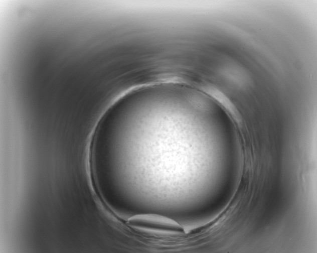 X0000089451439200706221239