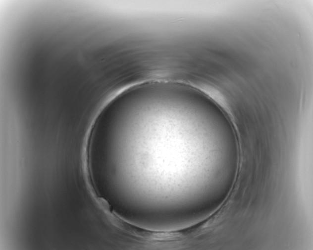 X0000089451440200706221239