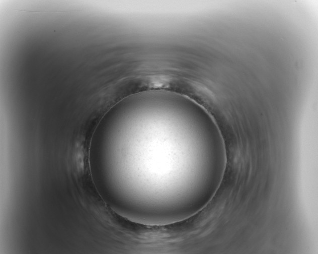 X0000089451442200706221239
