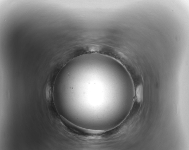 X0000089451443200706221239