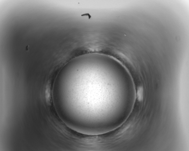 X0000089451444200706221239