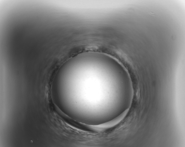 X0000089451445200706221238
