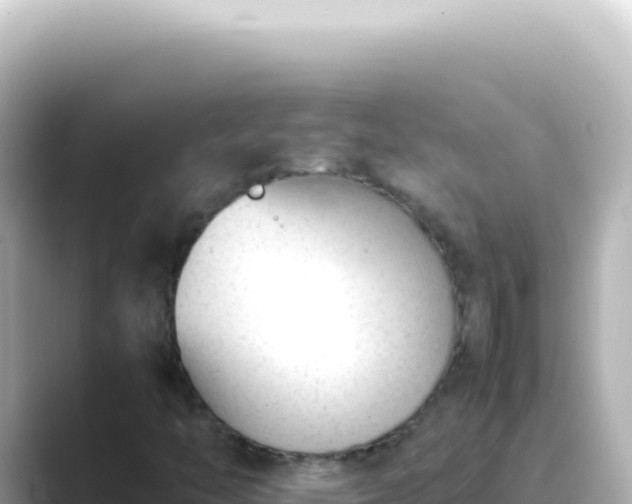 X0000089451446200706221238