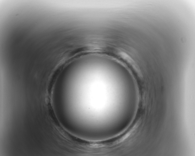 X0000089451449200706221238