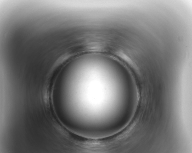 X0000089451450200706221238