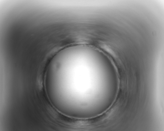 X0000089451451200706221238