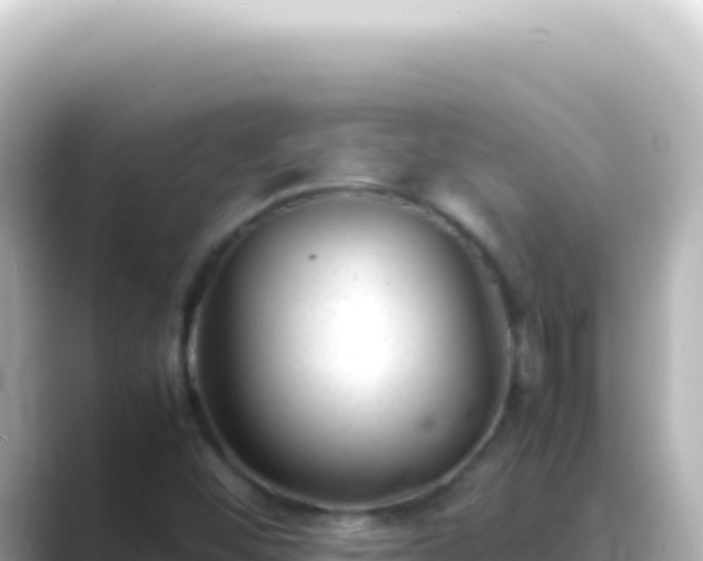 X0000089451452200706221238