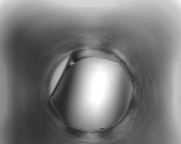 X0000089451453200706221238
