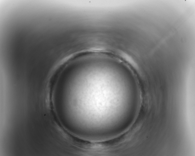 X0000089451456200706221238