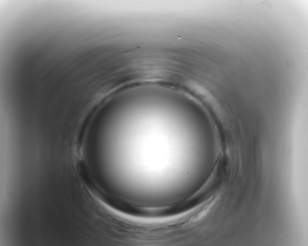 X0000089451457200706221238