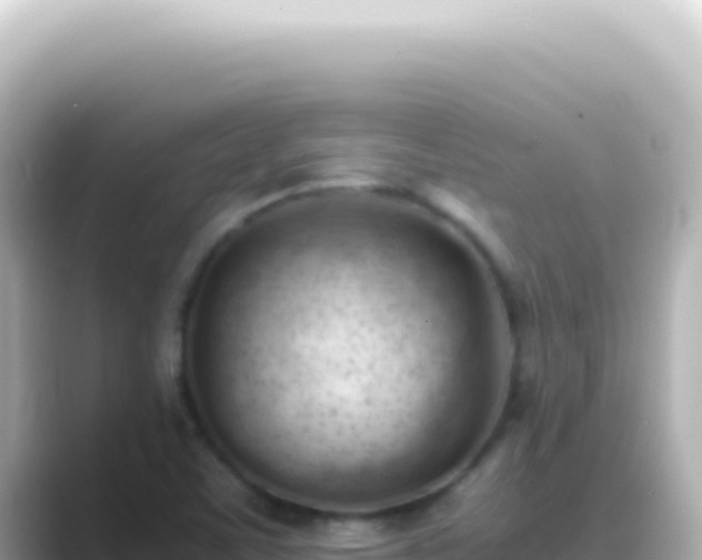 X0000089451459200706221238