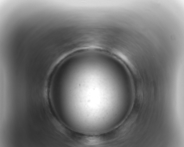 X0000089451460200706221238
