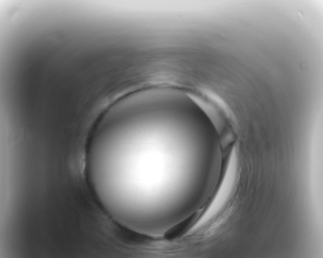 X0000089451461200706221238