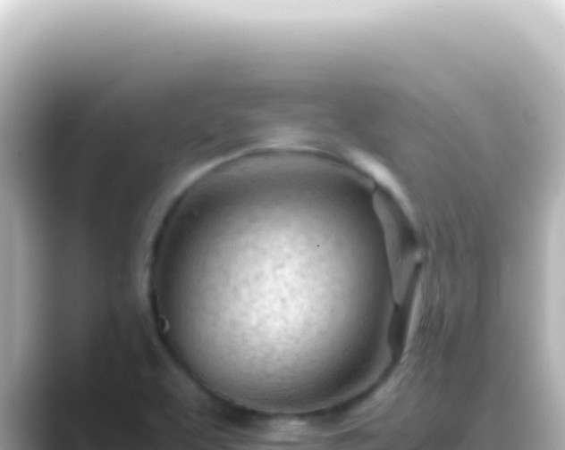 X0000089451463200706221238
