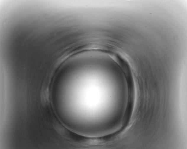 X0000089451465200706221238