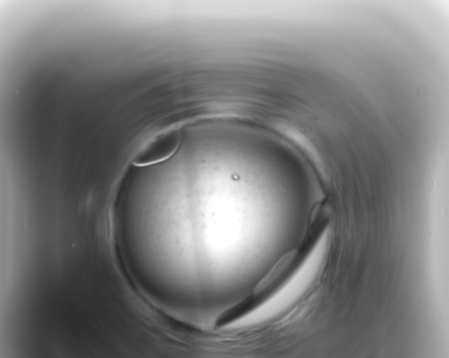 X0000089451467200706221238
