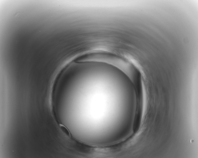 X0000089451469200706221238