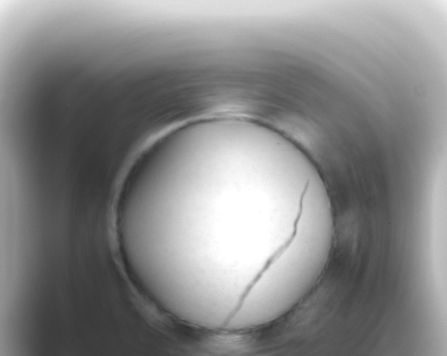 X0000089451470200706221238