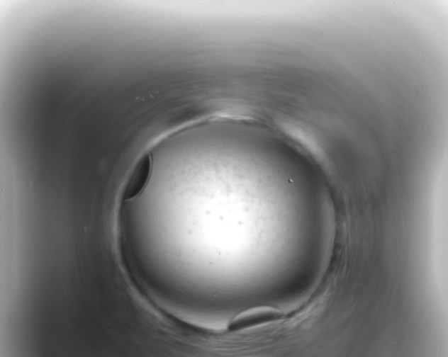 X0000089451471200706221238