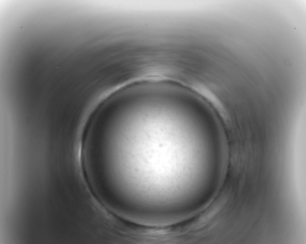 X0000089451472200706221238