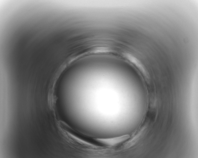 X0000089451473200706221238