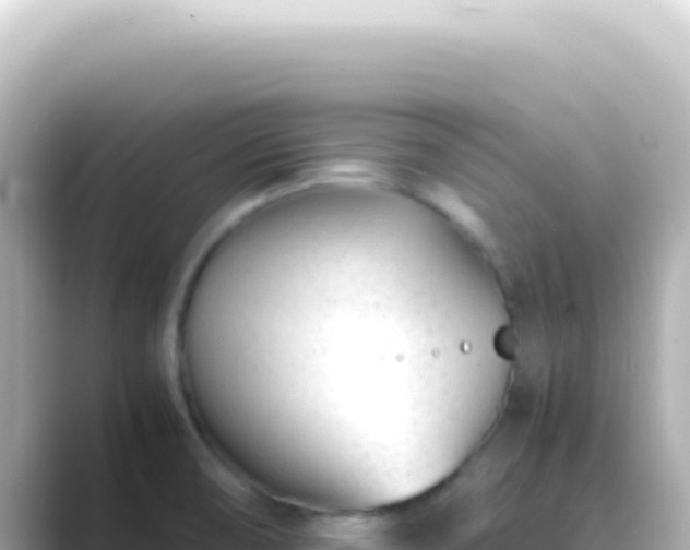 X0000089451474200706221238