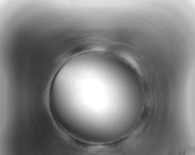 X0000089451475200706221238