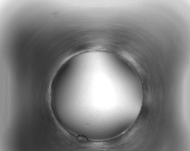 X0000089451479200706221238
