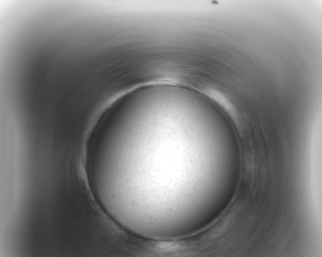 X0000089451480200706221238