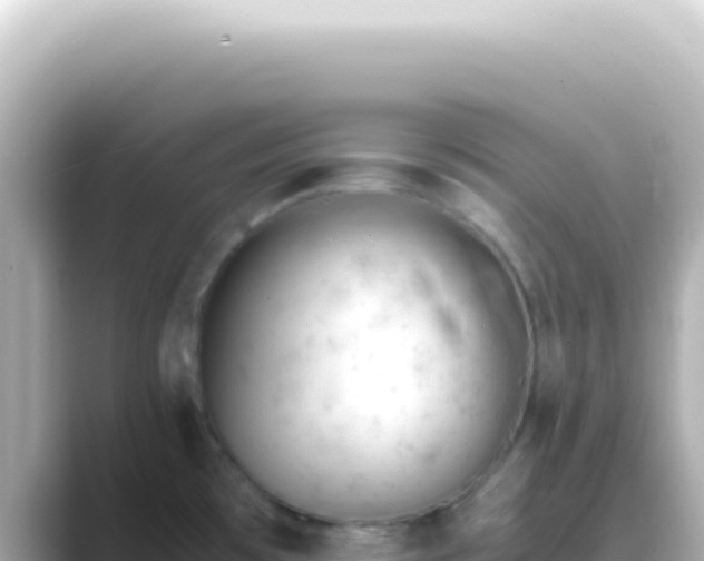 X0000089451481200706221238
