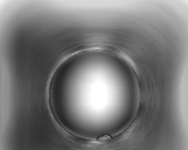 X0000089451483200706221238