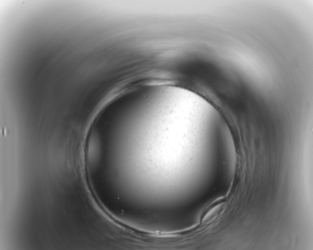 X0000089451487200706221238