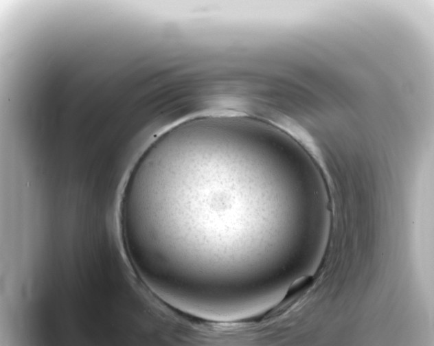 X0000089451488200706221238