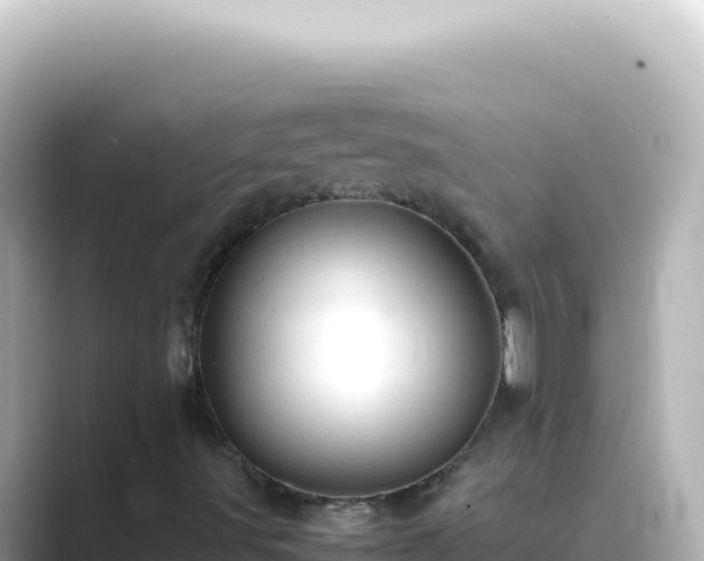X0000089451491200706221237