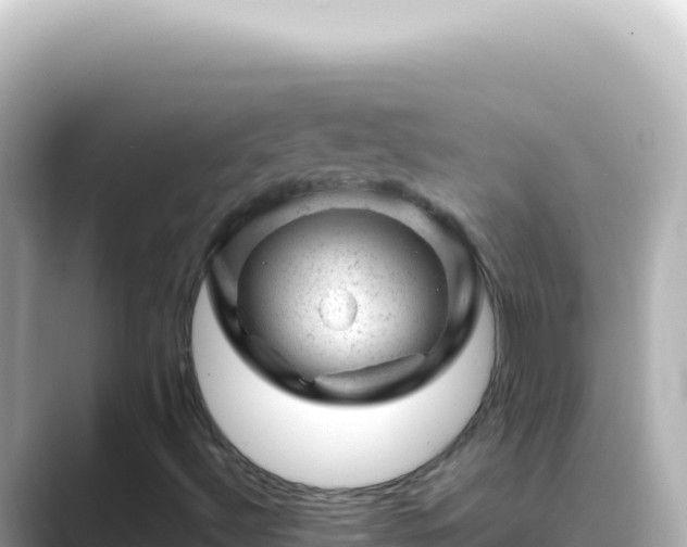 X0000089451492200706221237