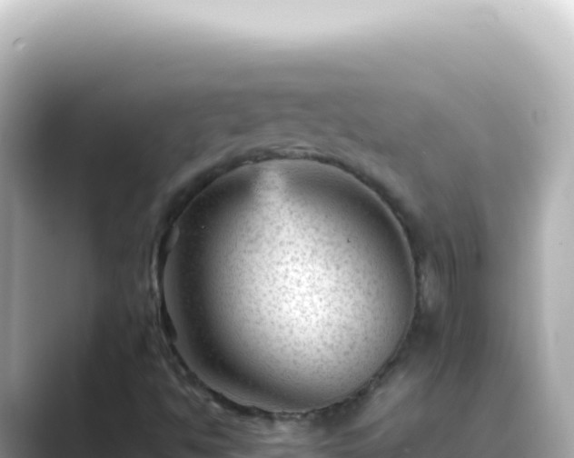X0000089451494200706221237