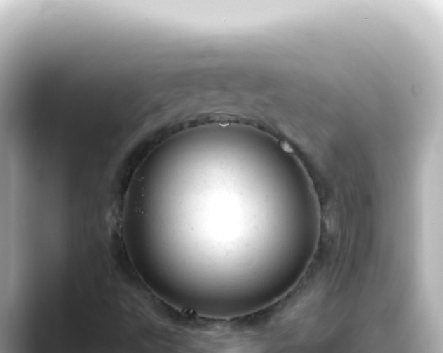 X0000089451495200706221238