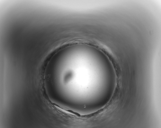 X0000089451496200706221238