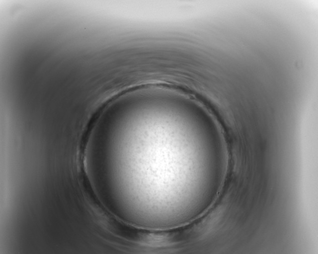 X0000089451497200706221238