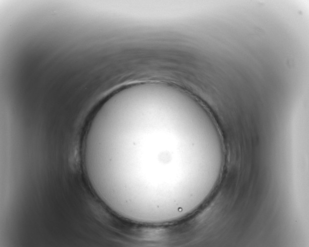 X0000089451498200706221238