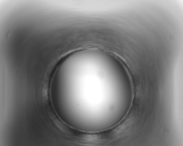 X0000089451499200706221238