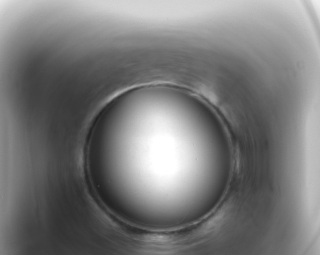 X0000089451500200706221238