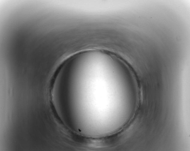 X0000089451501200706221238