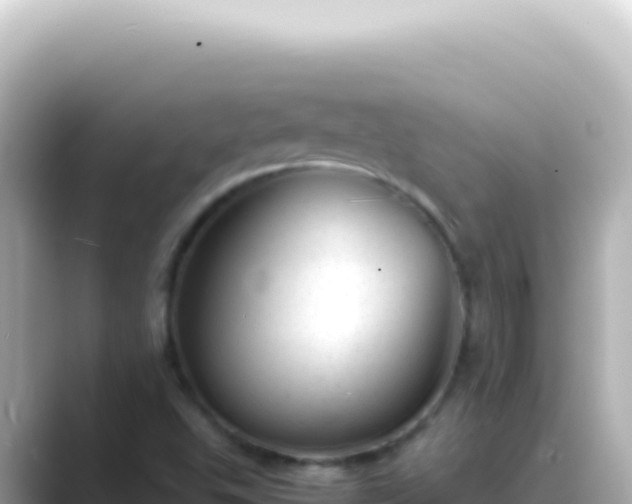 X0000089451503200706221238